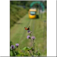 2012-07-07 Mulhouse Coteaux.jpg